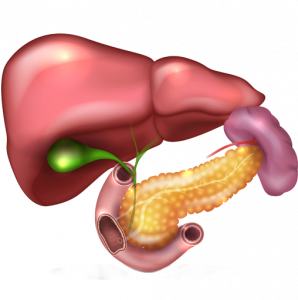 Желчекаменная болезнь